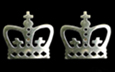 CUT OUT CROWN
